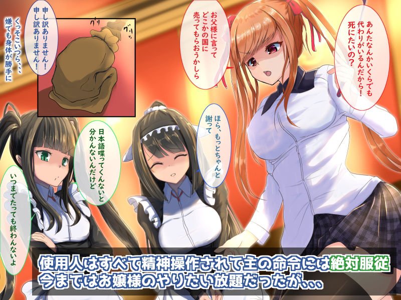 ‐完全拘束‐お嬢様（あいつら）は俺たちのおもちゃ