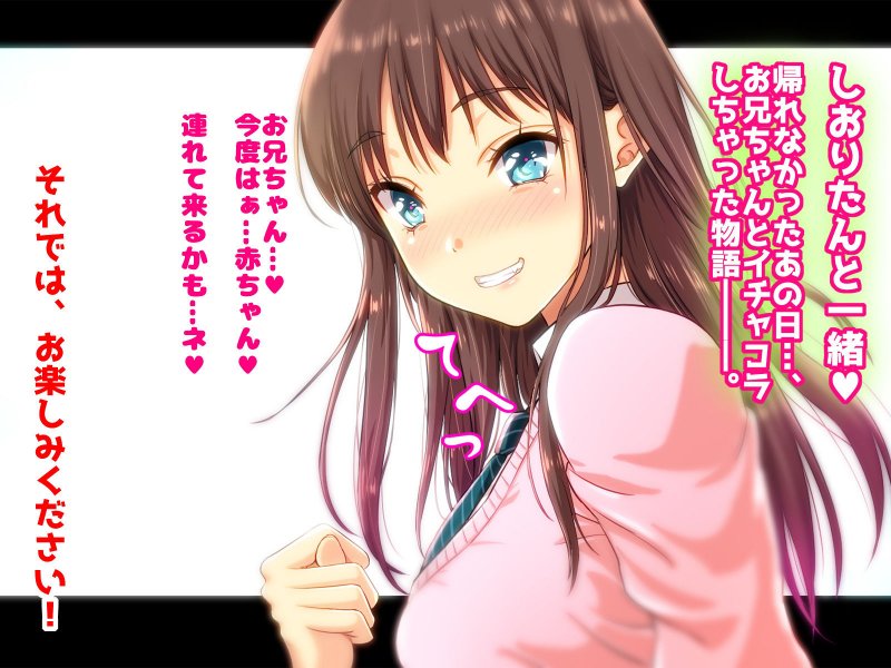 しおりたんと一緒♪ 帰れなかったあの日、お兄ちゃんとイチャコラしちゃった物語―――。