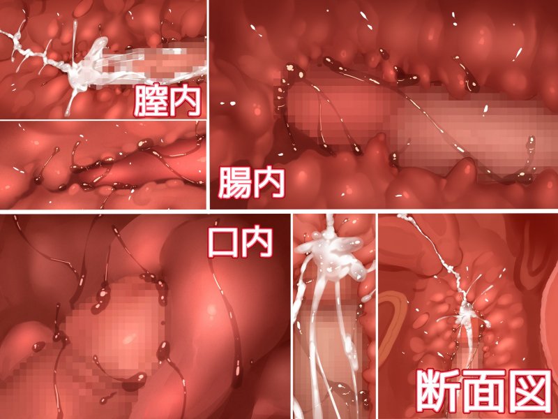 筋肉おねえちゃんと過ごしたひみつの夏休みの話