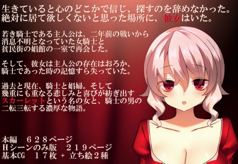 元女騎士と貧民街の娼館で再会した。