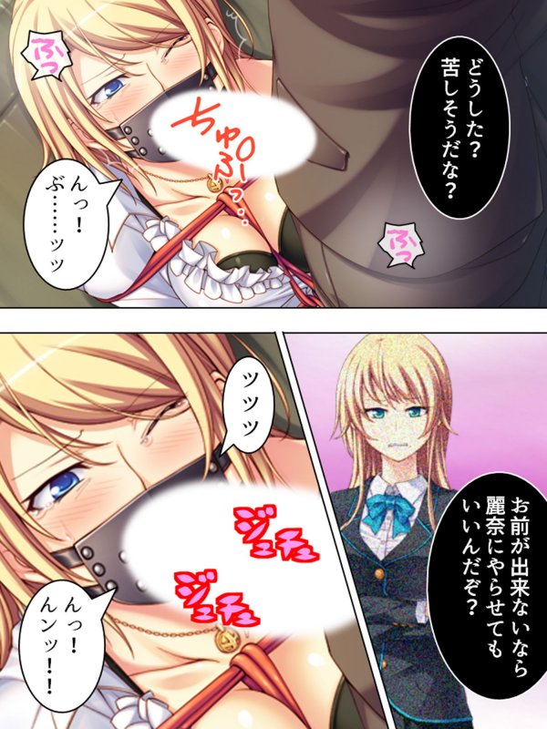 傲慢令嬢への復讐調教！徹底的に堕としてやる！ 3巻