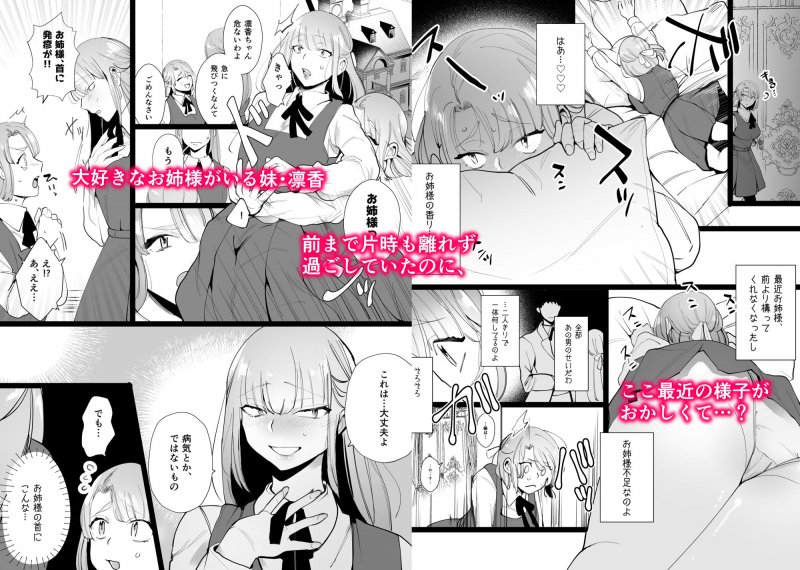 百合姉妹陵●～わたしのお姉様がこんなことするはずない！お姉様編～