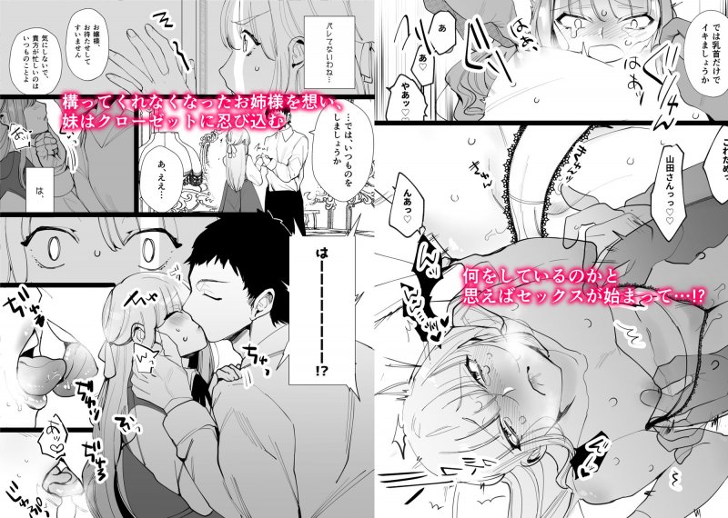 百合姉妹陵●～わたしのお姉様がこんなことするはずない！お姉様編～