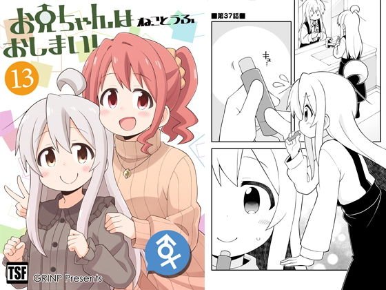 お兄ちゃんはおしまい！13