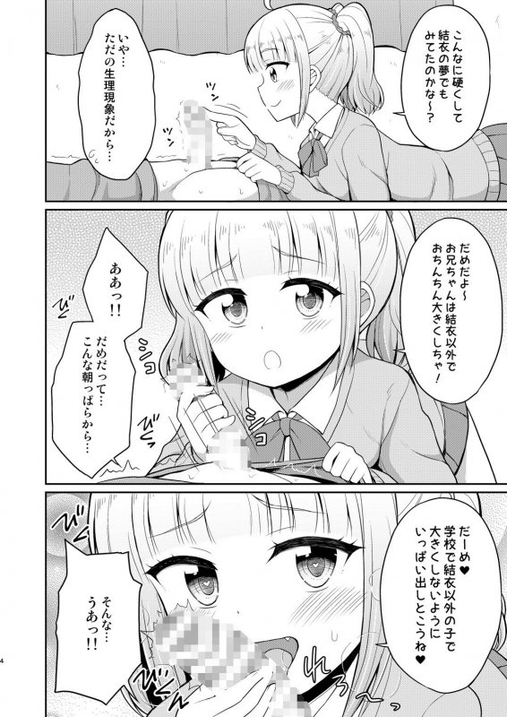 お兄ちゃん大好きHしよ2