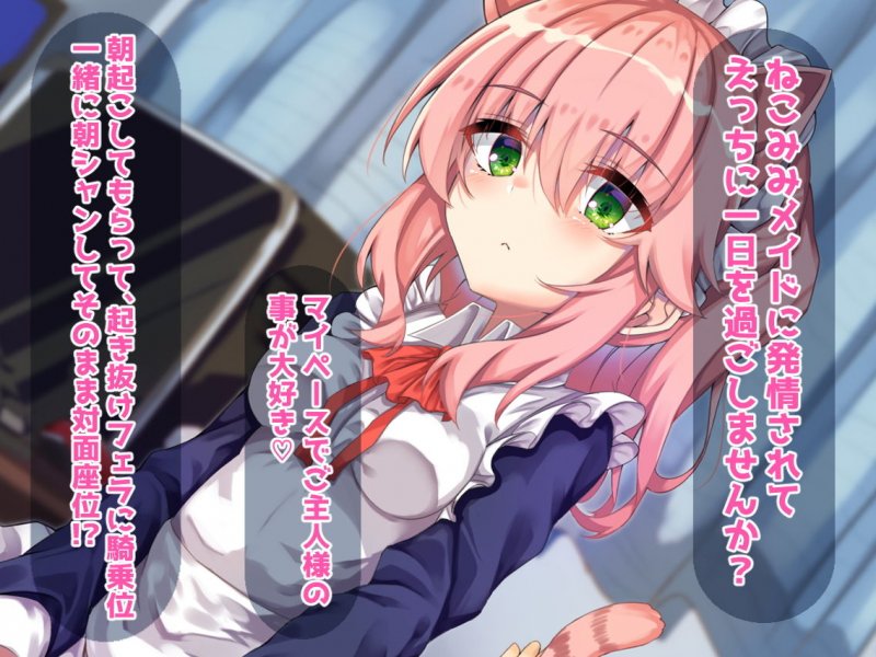 猫耳メイドの発情期！～癒されすぎてダメになっちゃいました～