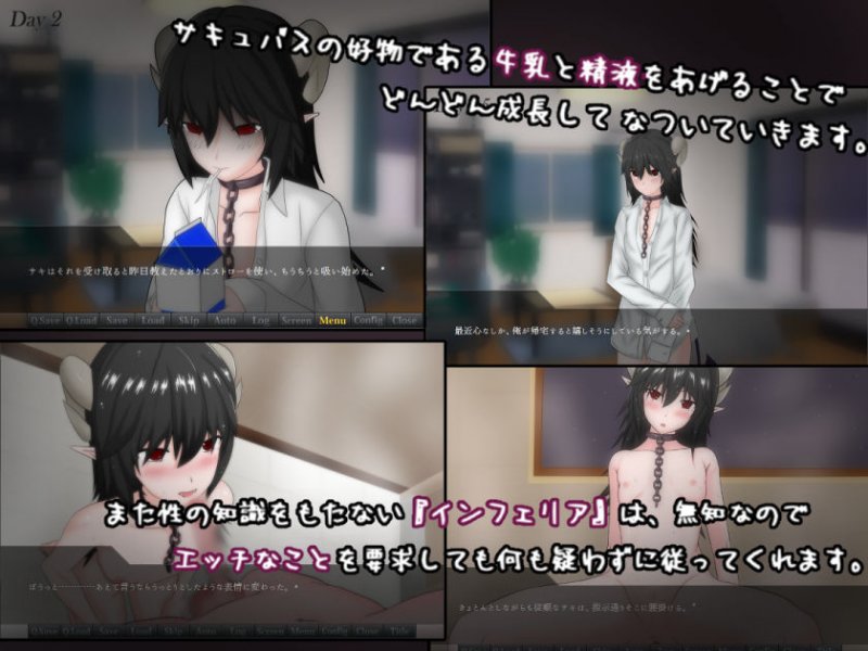 もしもサキュバスの奴隷をかってみたら・・・