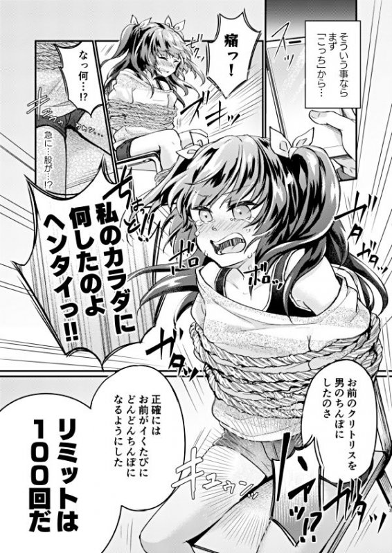 ツンデレ妹淫棒改造計画