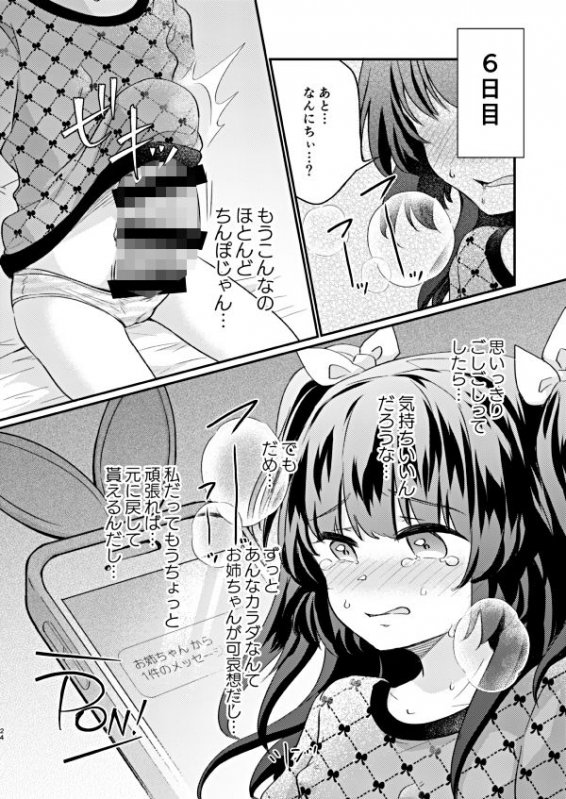 ツンデレ妹淫棒改造計画