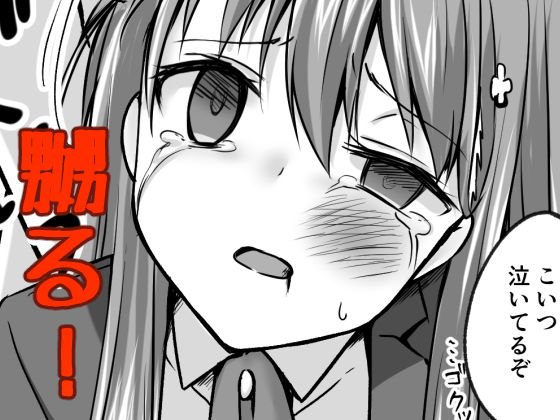 壊れた○○○女子-生アイドル（Hカップ）がオナホとして散々に使われる本