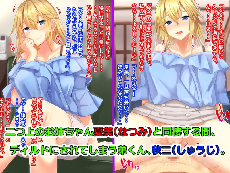 僕は姉の肉ディルド