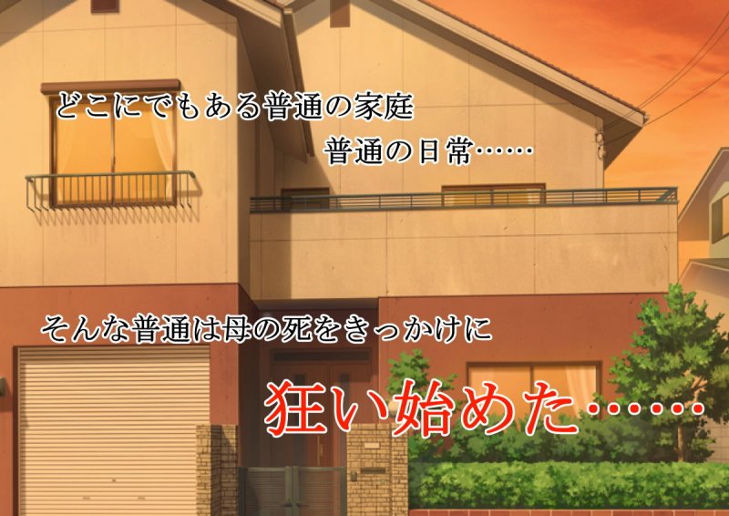 大好きな姉は父のオナホになっていた。