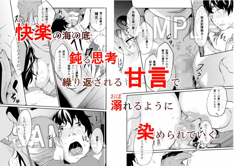 スパイマネジメント2（従順奴隷の作り方）