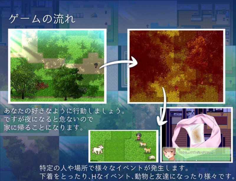 僕とお姉ちゃんとひと夏と。