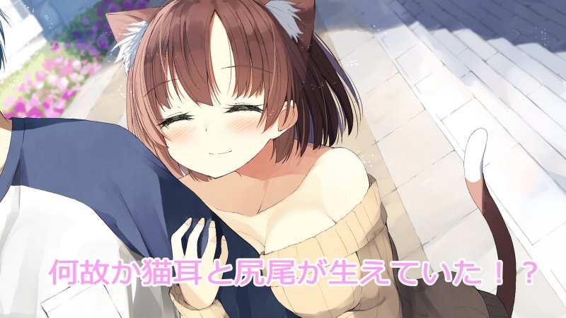 俺の彼女には猫耳が生えている