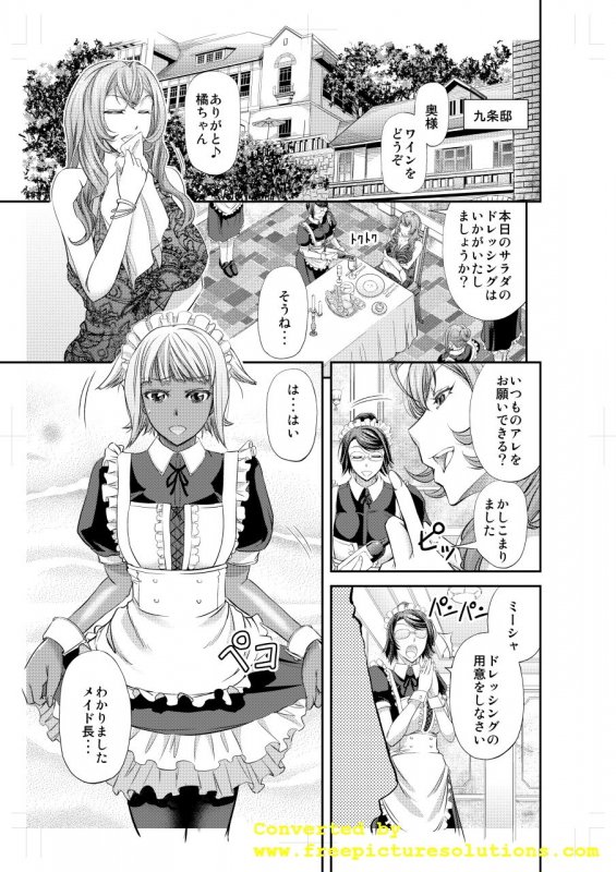 九条家流愛玩メイドの躾け方