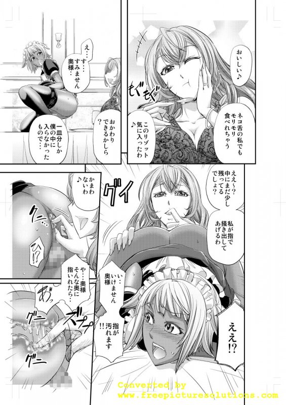 九条家流愛玩メイドの躾け方