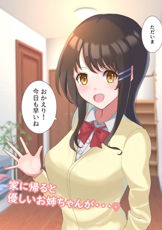 家に帰ってお姉ちゃんとHする性活