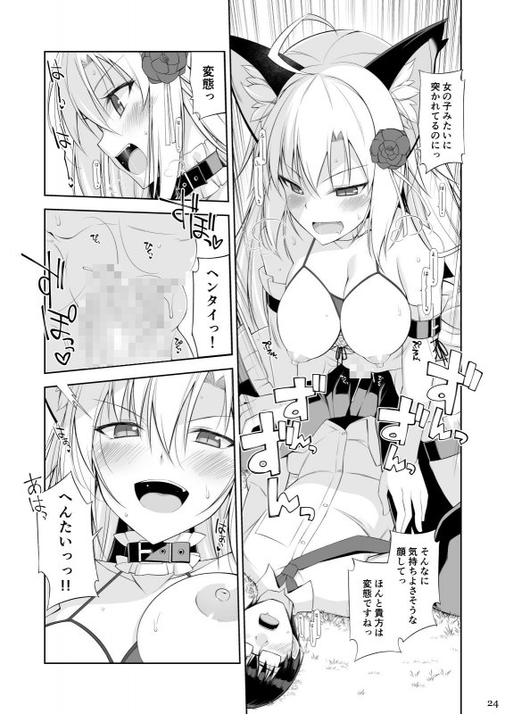 ねことげぼくIV