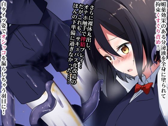 元王子でしたが、これからはサキュバスとしてご奉仕いたします。