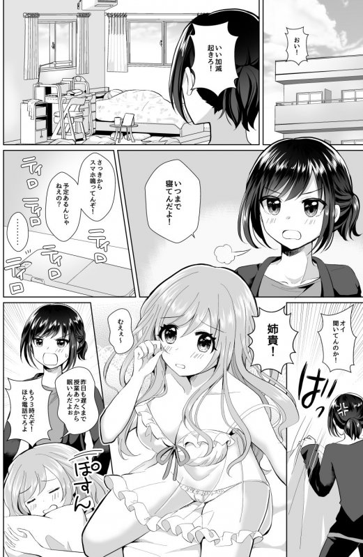 俺と姉貴の女の子ライフ