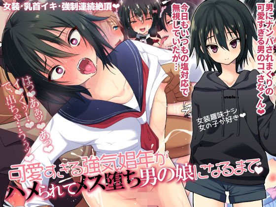 可愛すぎる強気娼年がハメられてメス堕ち男の娘になるまで