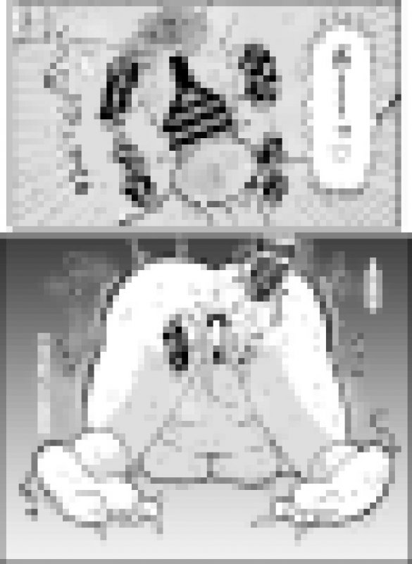 エッセイ風すけべ漫画集