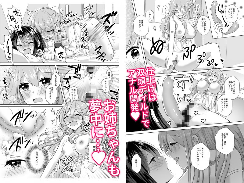 俺と姉貴の女の子ライフ2