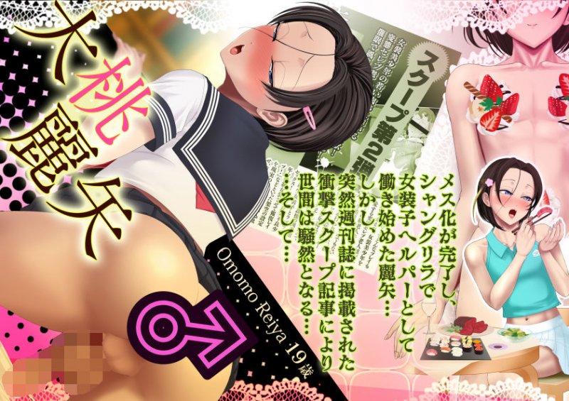 ヤンキー女装子ヘルパーVol.3 ～桃源郷の肉便姫～