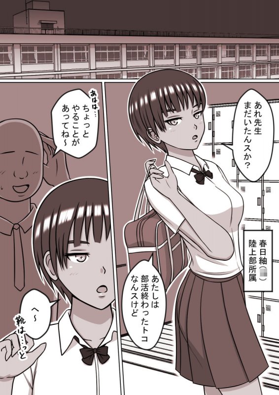 人形にして犯った女たち