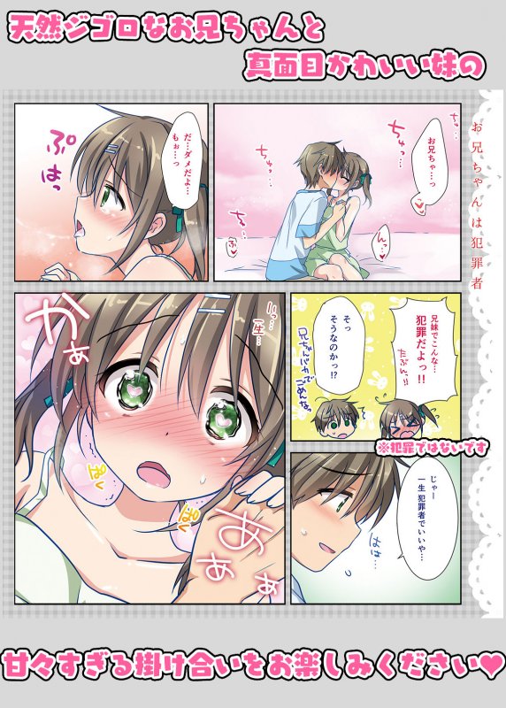 お兄ちゃんは犯罪者総集編1＋2