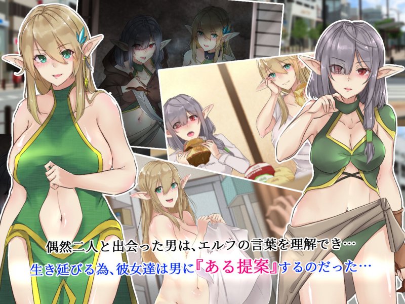 僕は性奴隷としてエルフを飼っています。