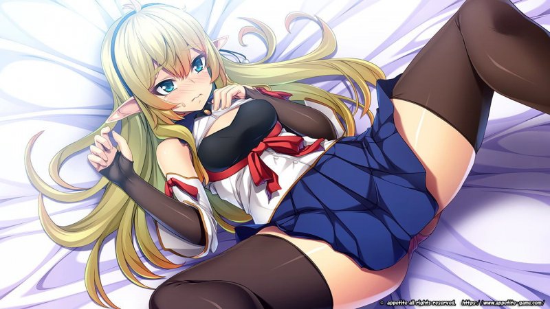 異世界TS転生チートなし！？～受注クエストはえっちなものが多くて大変です～