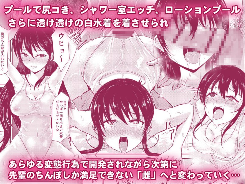 水泳インストラクターの清楚な彼女がバイト先で寝取られるまで…