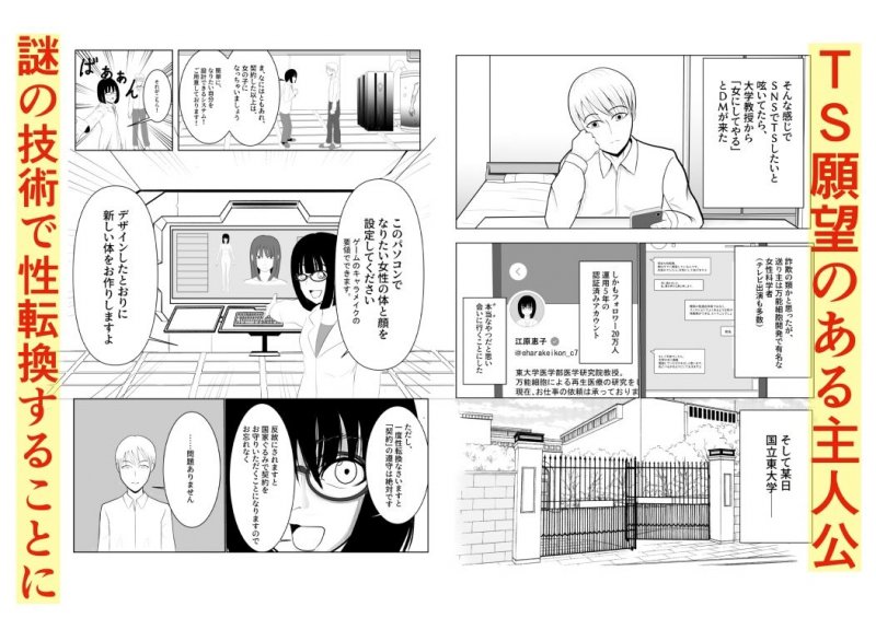 TSをする。性奴隷になる。