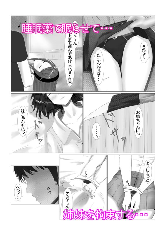 可愛い姉妹を睡眠レイプで寝取り計画