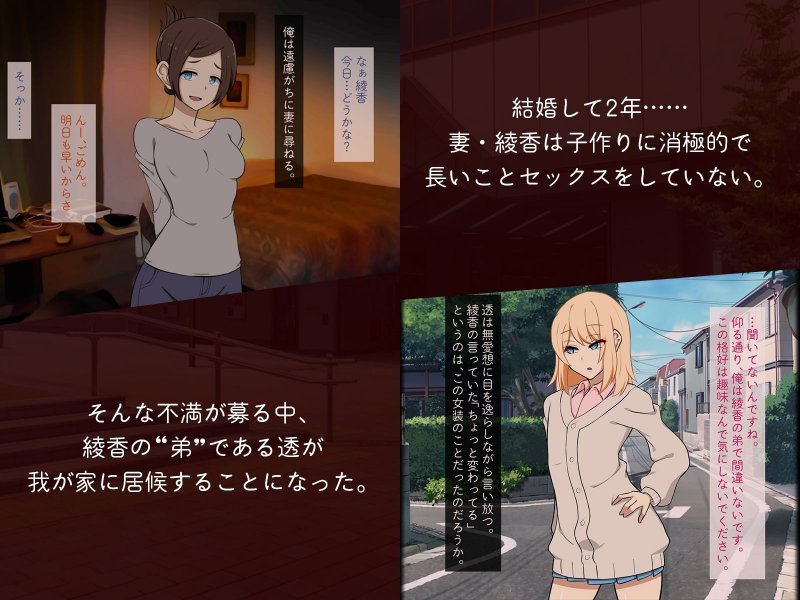 妻の弟に堕ちてゆく