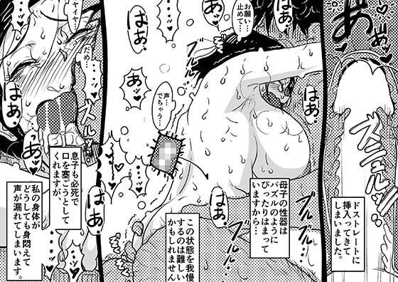 ヤリたい盛りの息子と多淫症のお母さんとの性生活の日常の話。