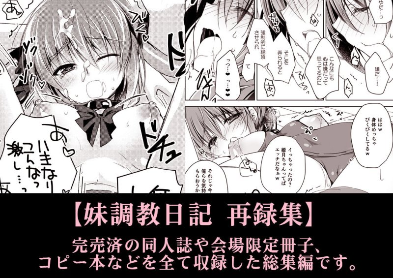 妹調教日記再録集【総集編】