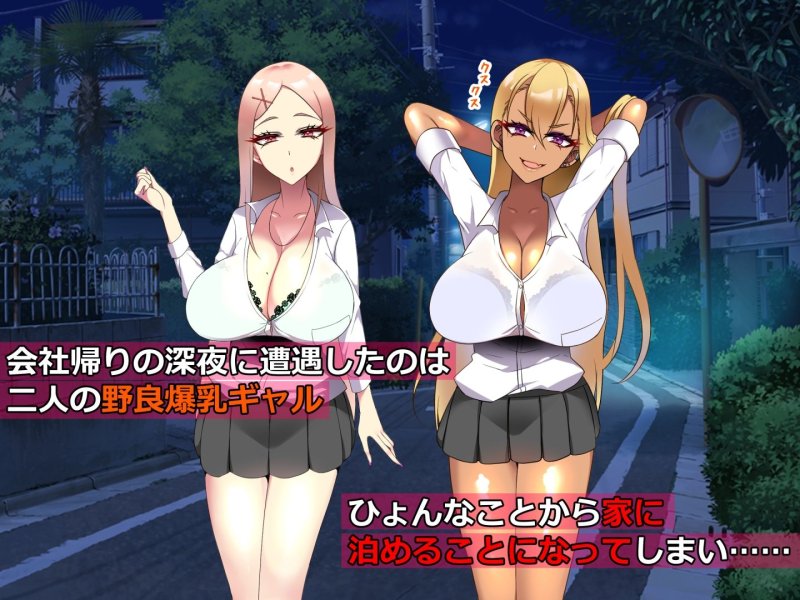 【55％オフ】野良ギャルに家に住みつかれたら人生が一変した話【期間限定】