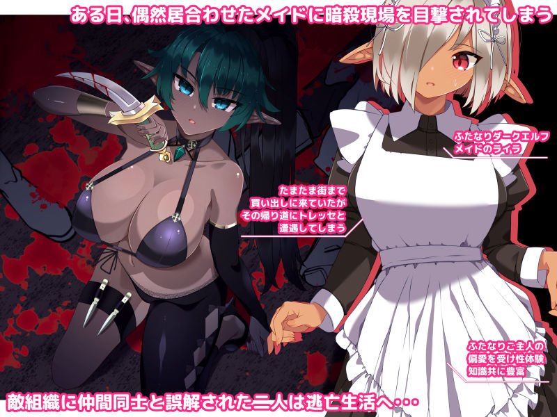 ふたなりダークエルフ暗殺者とメイドさんのふたレズ逃避行