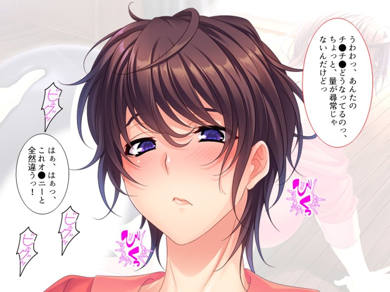 孕ませ！人妻寝取りハーレム性活