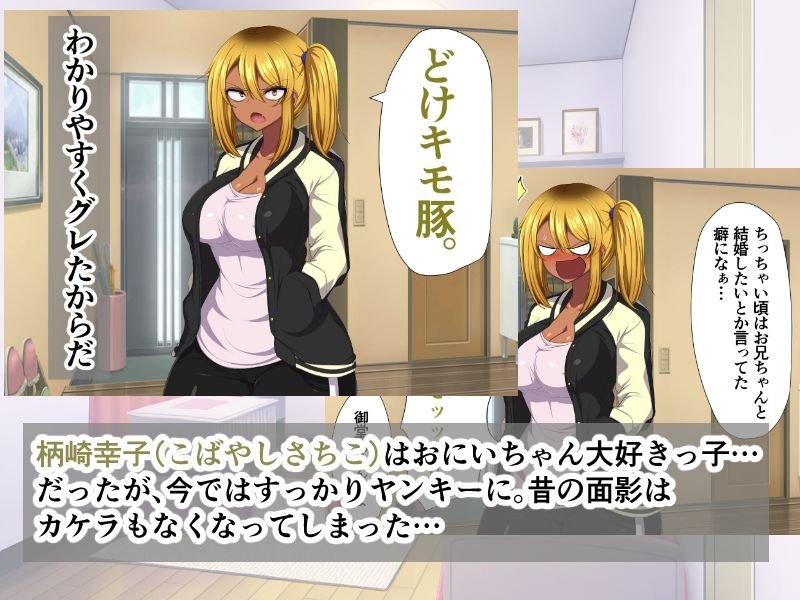 お兄ちゃんの事なんか全然好きじゃねーよバーカ！～ヤンキーの妹がオレのパンツで～