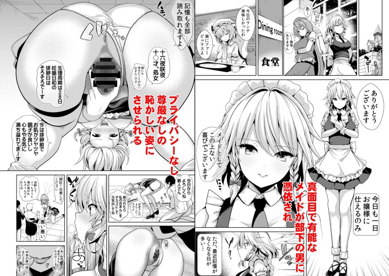 東方TSF3 咲夜に憑依