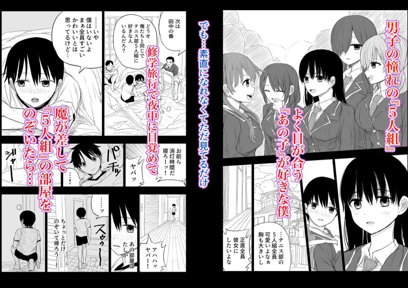 トラウマ修学旅行～僕はあの子とヤリチンのキスハメ観測者～