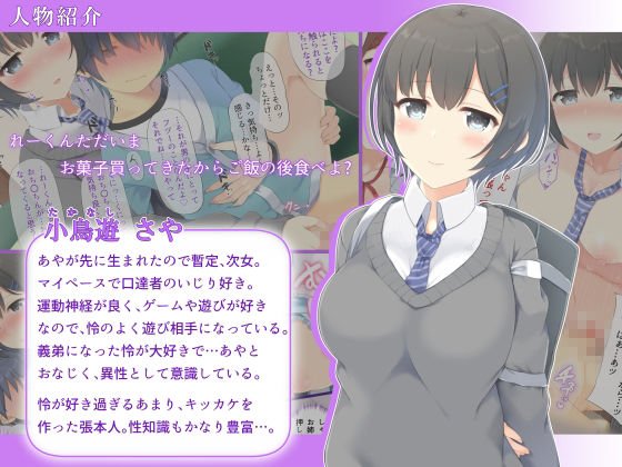 お姉ちゃんは僕を甘やかしたい。