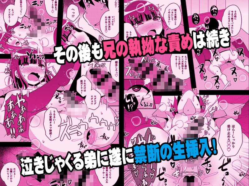 ナマイキ弟の精嚢をこねくり回してメス♂にする本