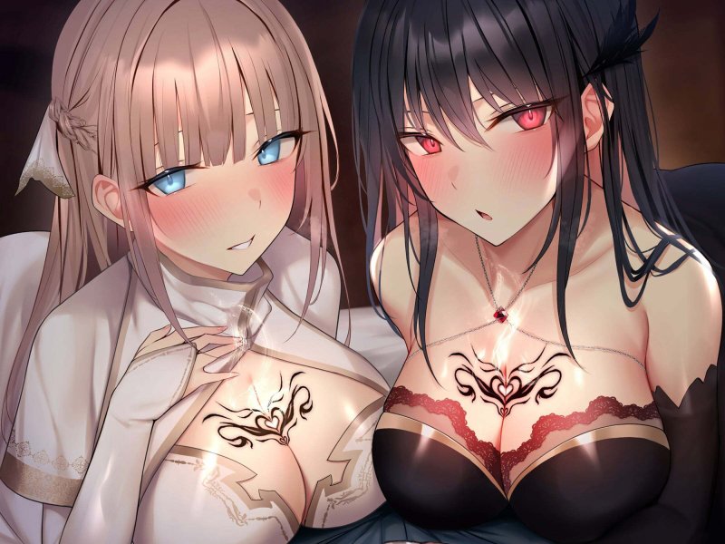 乗っ取り僧侶と魔法使い～2匹のサキュバスとハーレムパーティ結成編！？～