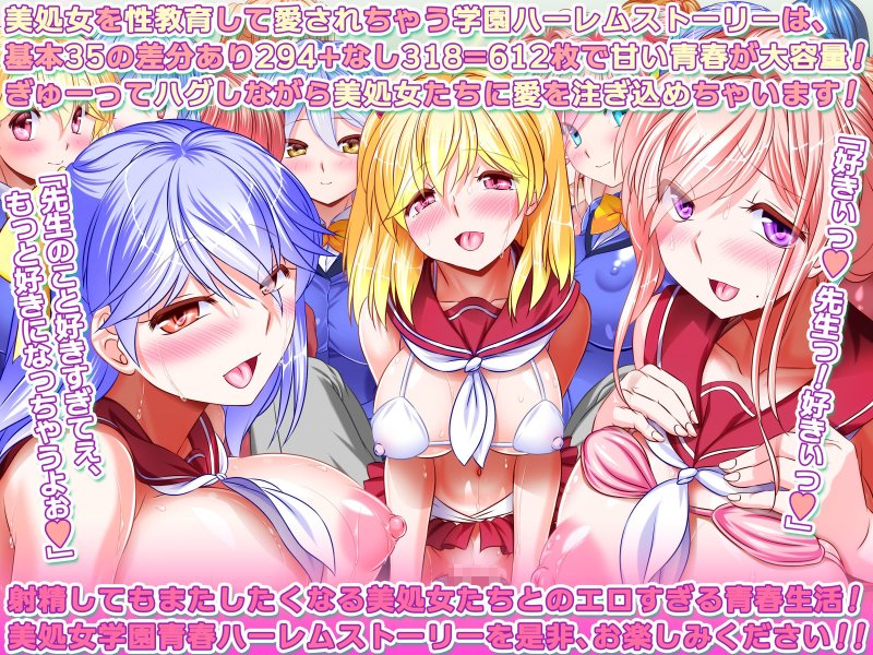 國家認定セックス師 ～先生であるアナタが生徒達にセックスを教える楽園的学園ハーレム～