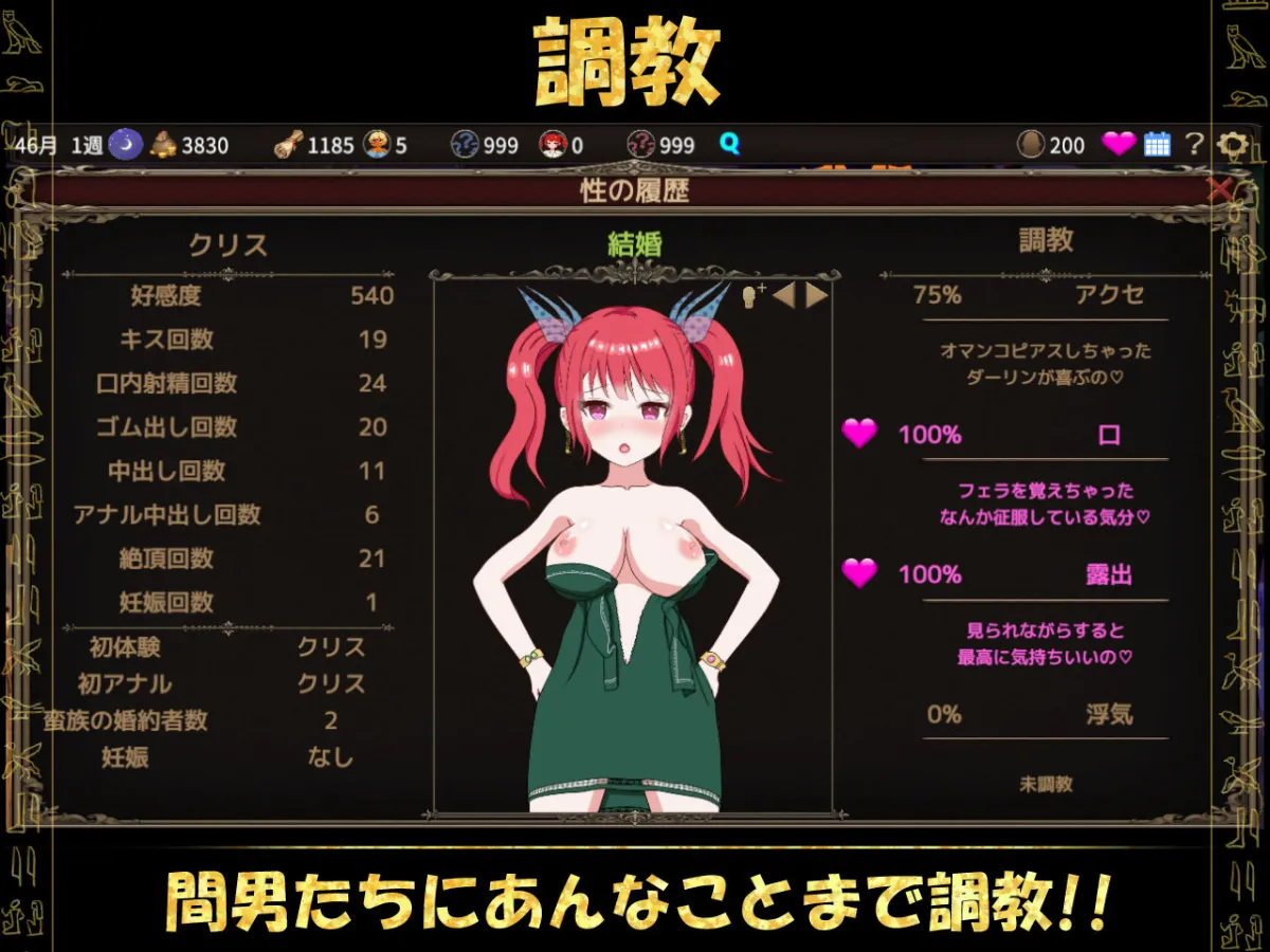 蛮族に狙われた村～村丸ごと寝取られちゃうシミュレーション～